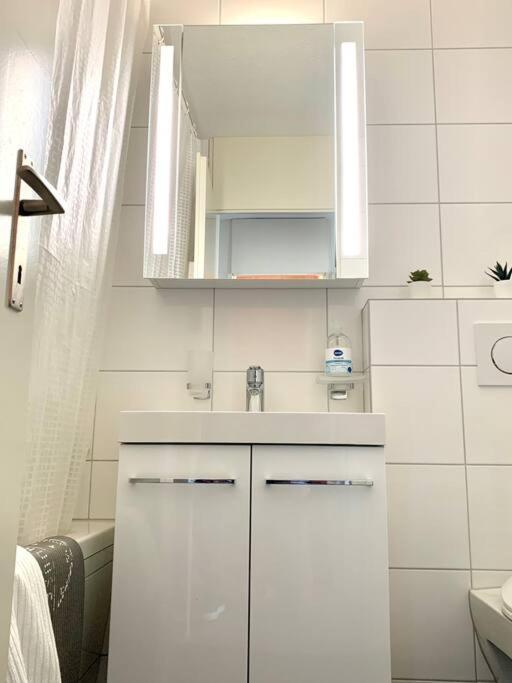 Apartament Little Penthouse **** Dietikon Zewnętrze zdjęcie