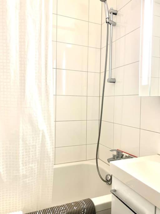 Apartament Little Penthouse **** Dietikon Zewnętrze zdjęcie