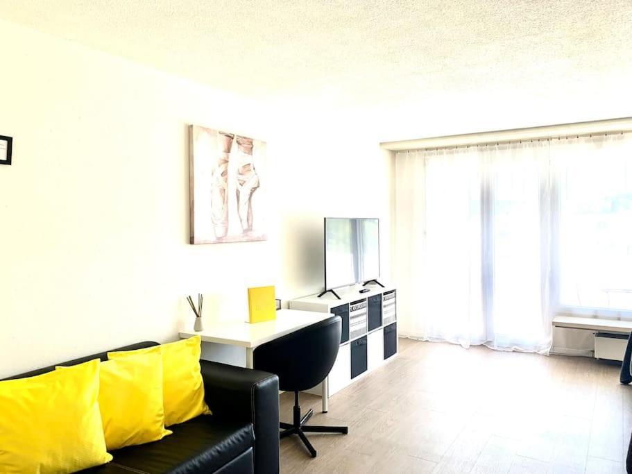 Apartament Little Penthouse **** Dietikon Zewnętrze zdjęcie